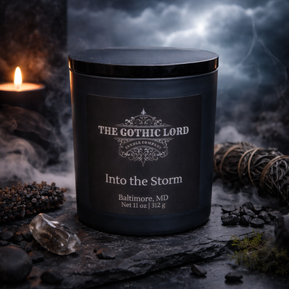 Into the Storm
